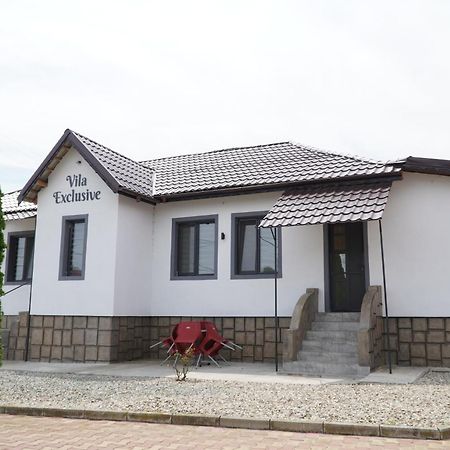Vila Exclusive Târgu Jiu Exterior foto